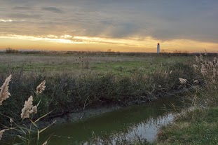 DSC03223