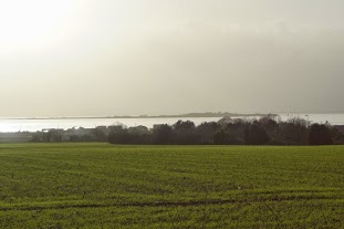 estuaire