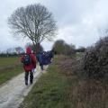 chemin dans les prés