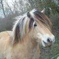 belle rencontre!