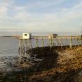 Ponton-2