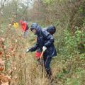 la pluie n'arrête pas les défricheurs !