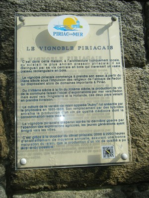 de la vigne à Piriac? on a aussi vu le pressoir !