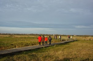 DSC03210