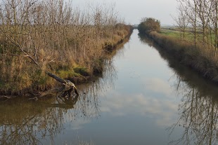 DSC03232