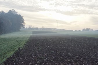 la terre est chaude !!!