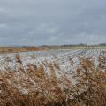 l'eau recouvre le marais