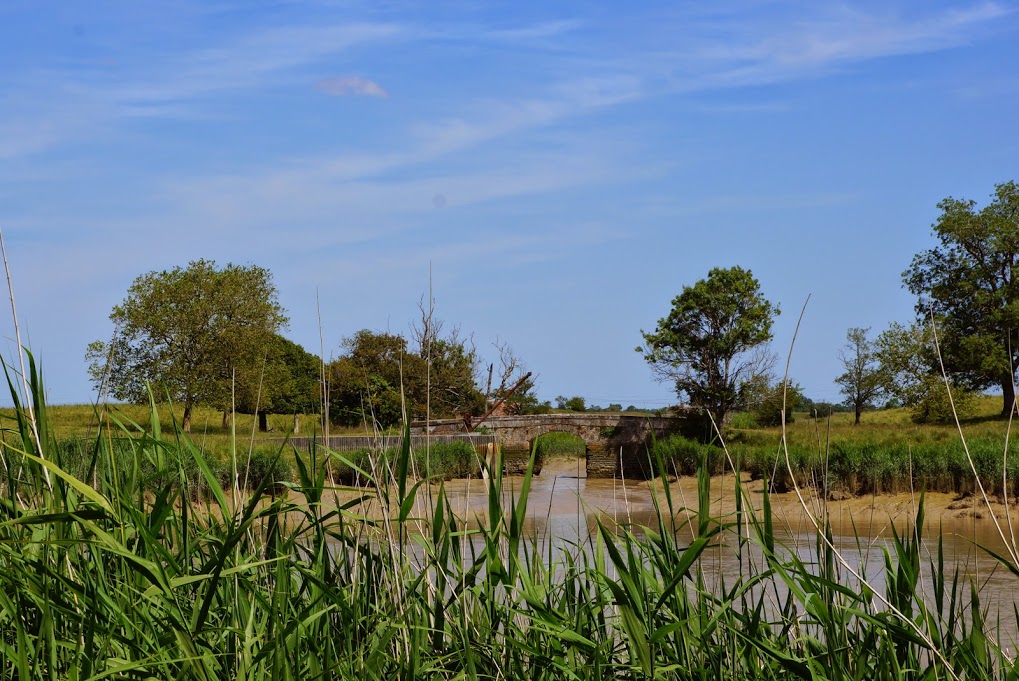 les marais autour des bassins...