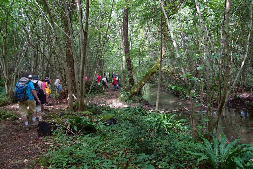 passage en sous bois
