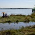 la marée remonte dans l'estuaire