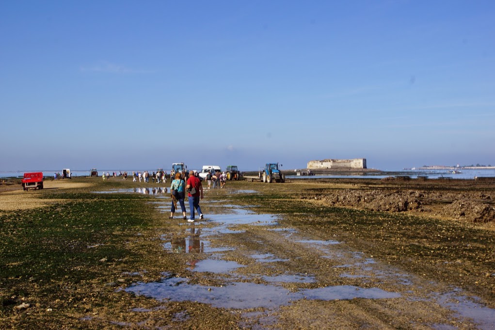 le fort, à l'horizon