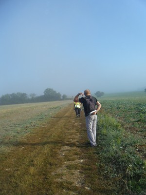 encore de la brume