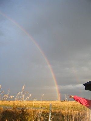 tiens, un arc en ciel !