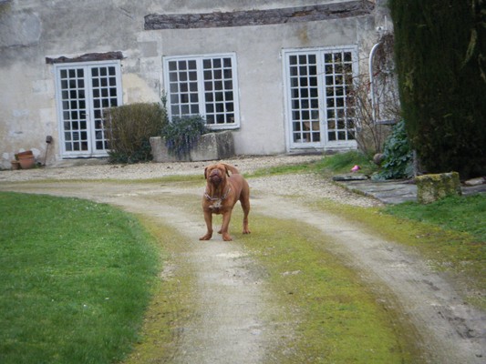 le chatelain, chez lui !