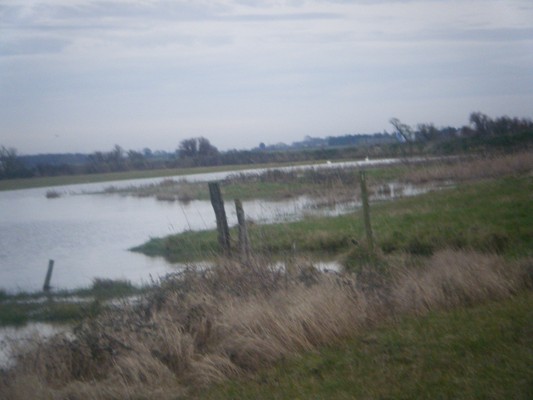 bords de Charente