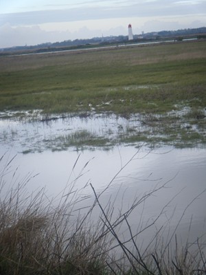 le marais humide !!! 