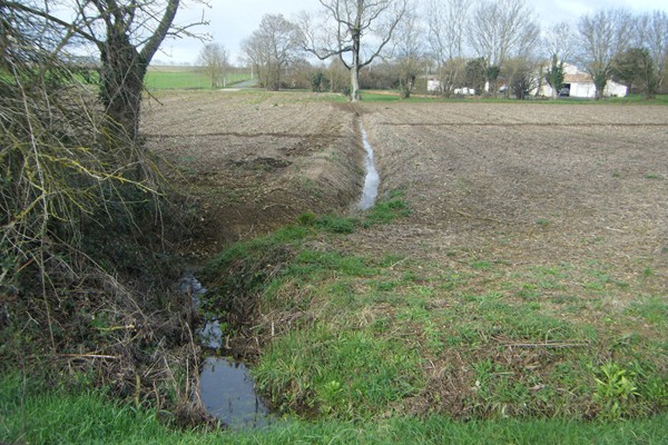 champ bien drainé, à l'ancienne...