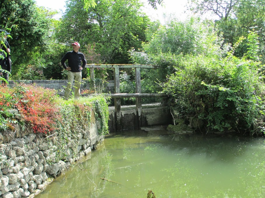 l'eau verte du canal...