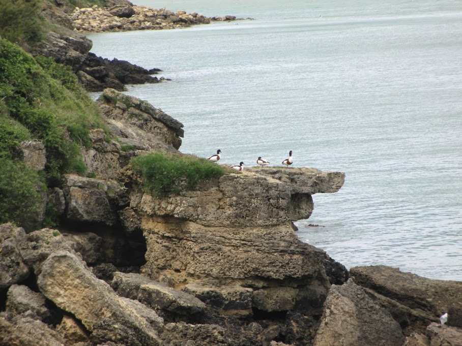 petites criques cachées